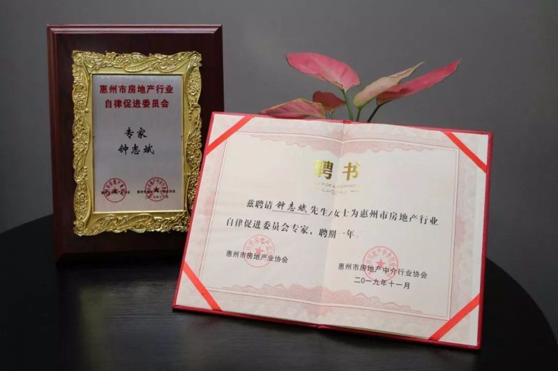 房地产政策解读：帮你读懂市场风云